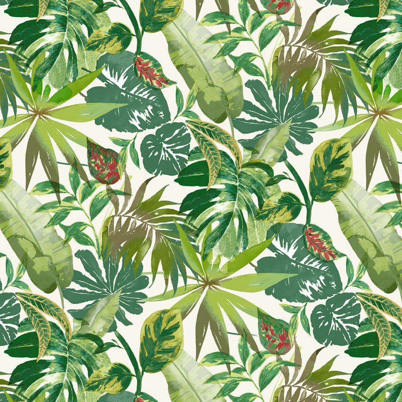 TROPICALES