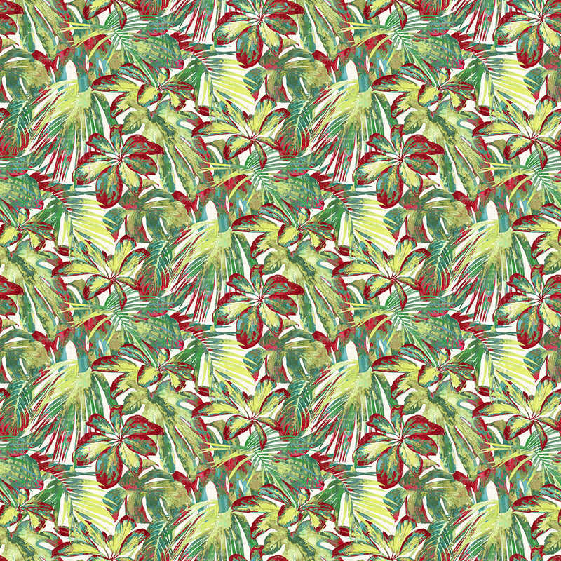 PALM