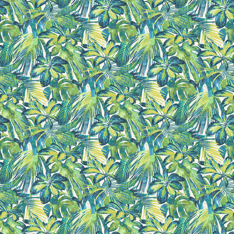 PALM