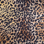 LEOPARDO