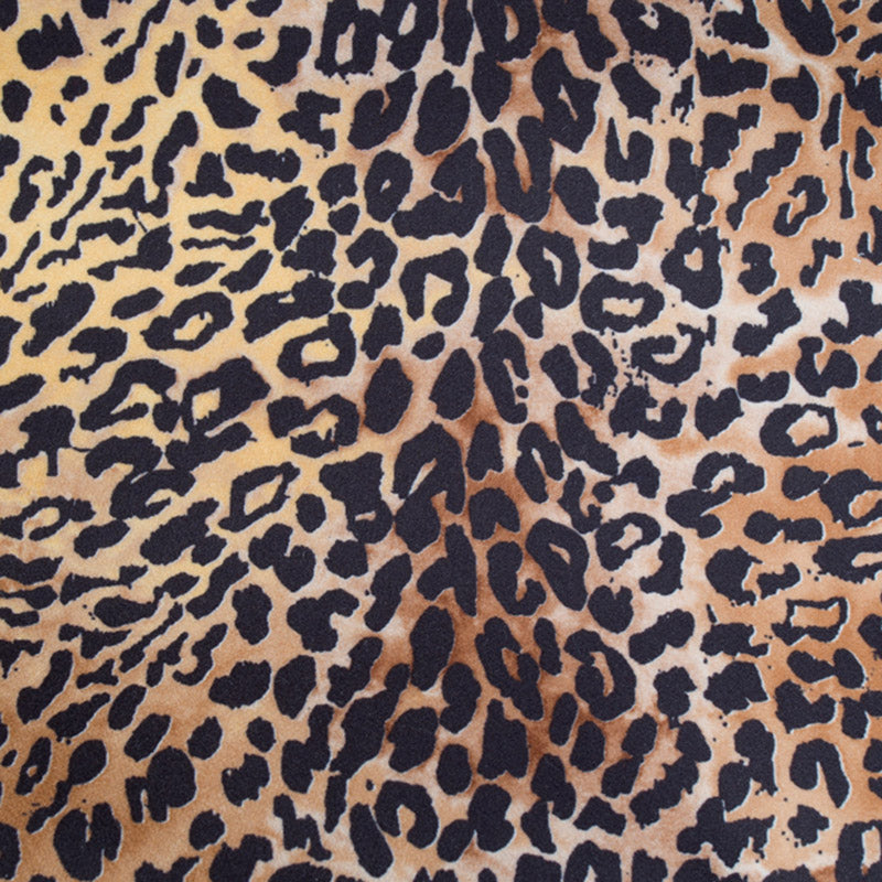 LEOPARDO