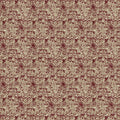 ALBIONI