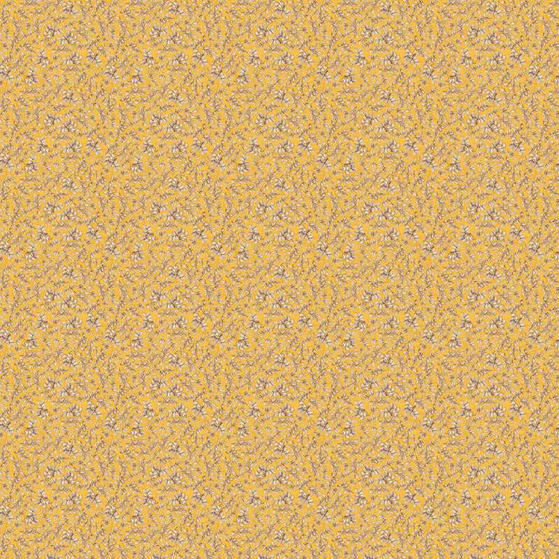 MONTI