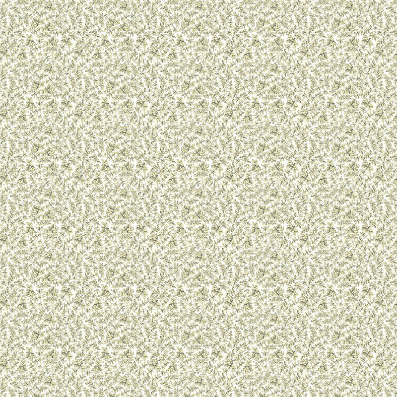 MONTI