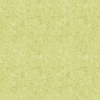 MOLINA - POD SERIES -