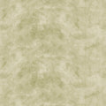 SANTOS - MICRO MOON -