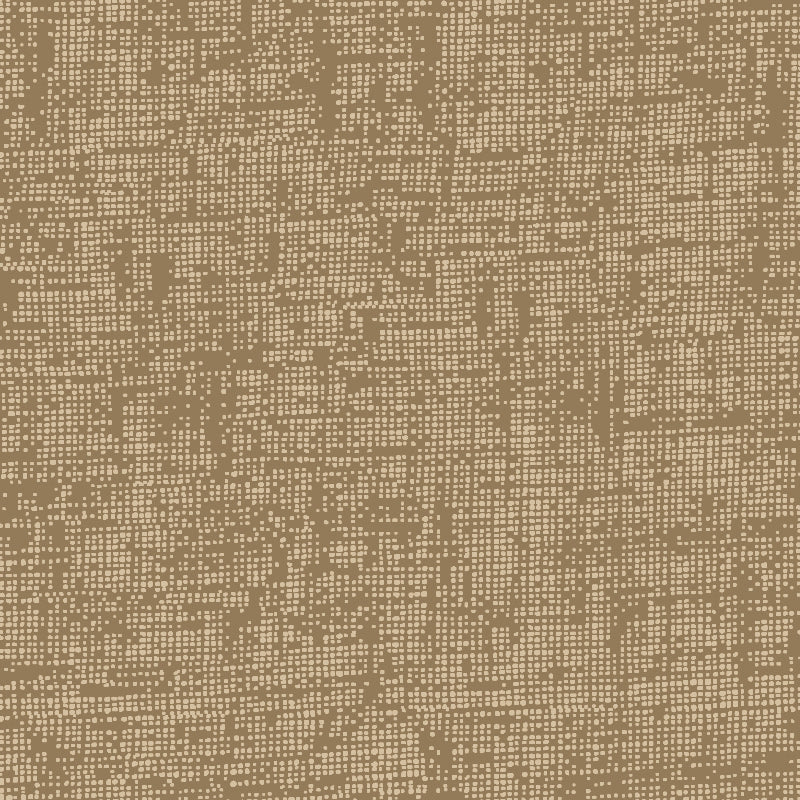 Ali surface