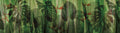 Equatorial Wallpaper Mural