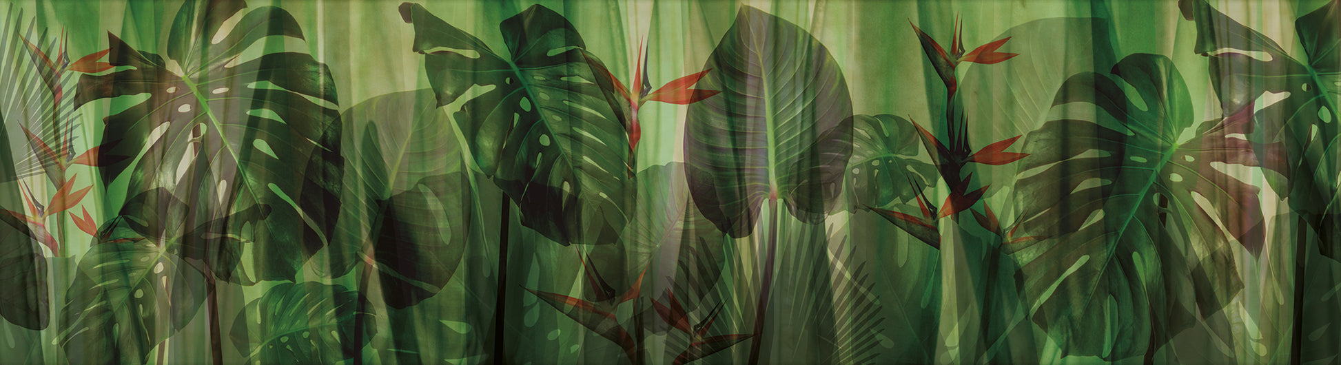Mural Wallpaper Equatorial