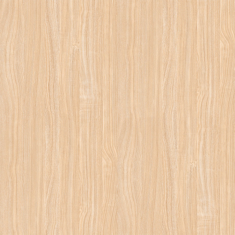 Wood Surface