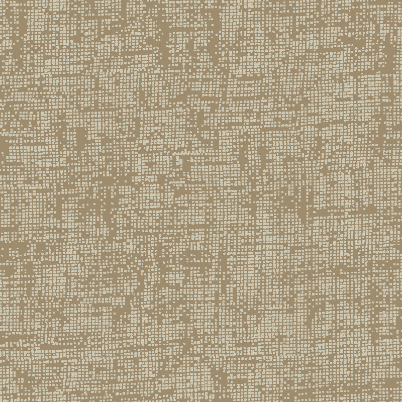Ali surface