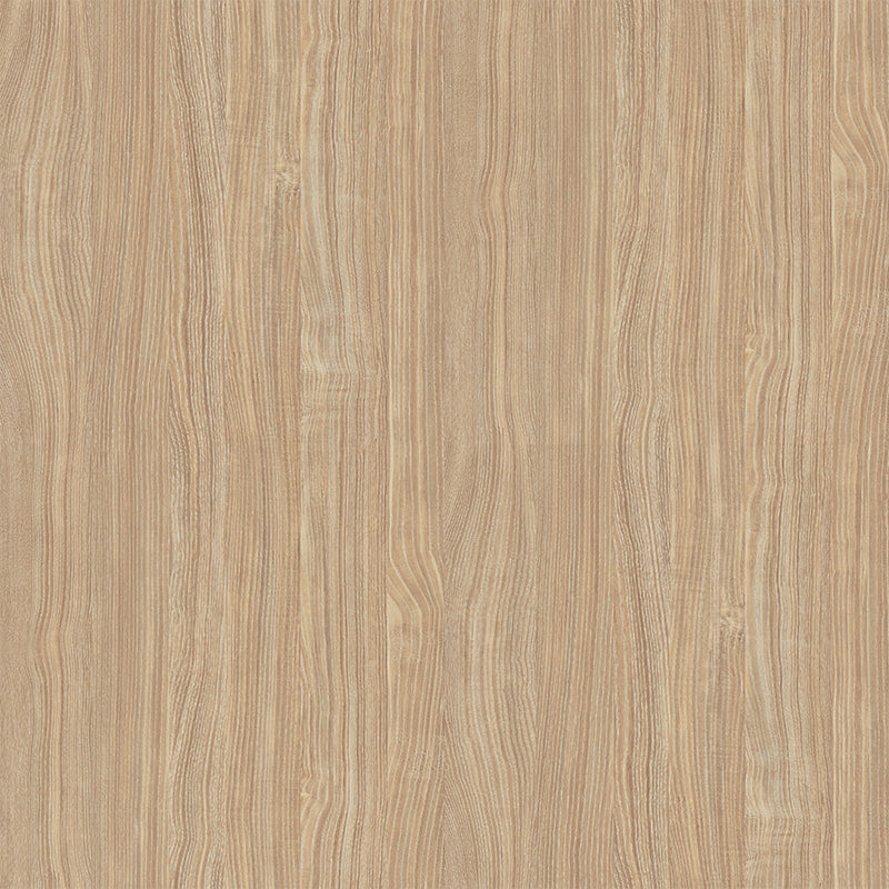 Wood Surface