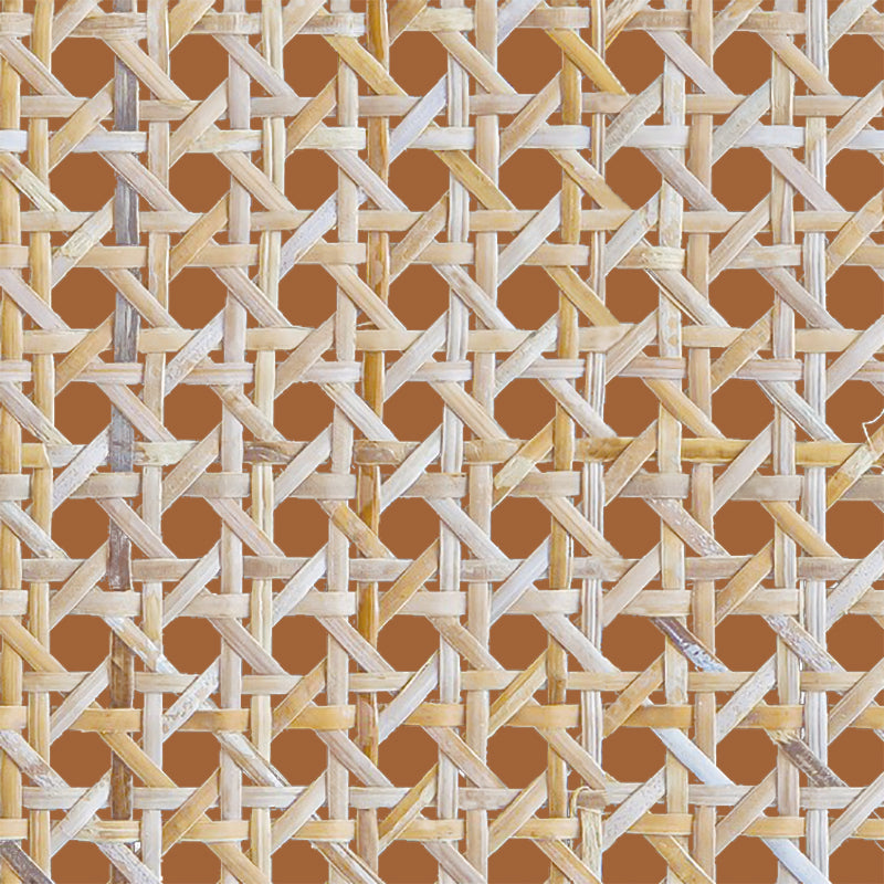 Rattan Wallpaper